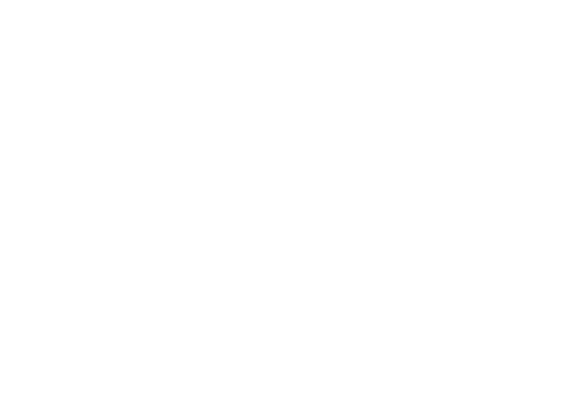 Liz